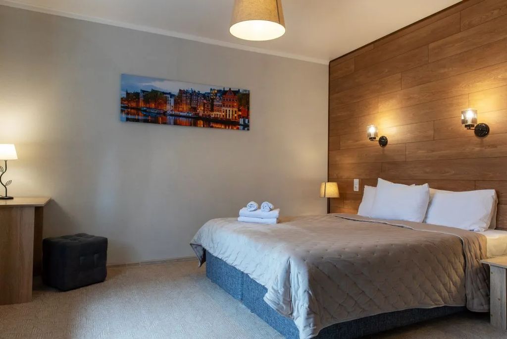 Панфилов — Двухместный номер с 1 кроватью Полулюкс