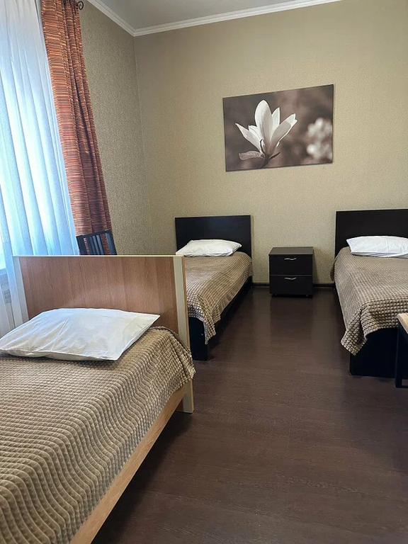 97 — Многоместный смешанный номер эконом, хостельное размещение