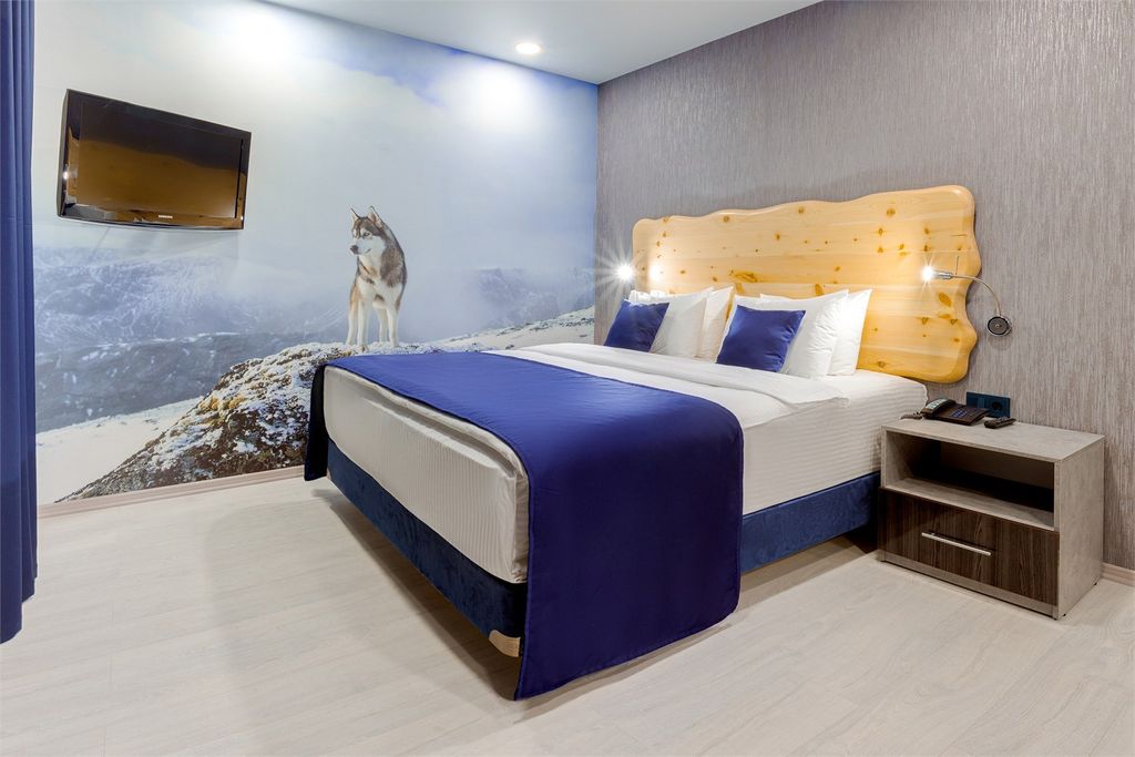 Меридиан — Двухместный номер с 1 кроватью джуниор сюит Арктический