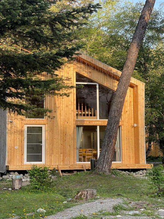 Шишка — Дом коттедж 1