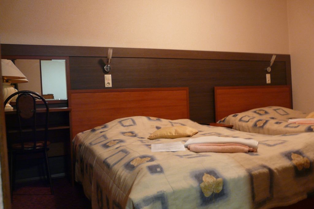 Серебряный бор — Двухместный номер с 2 отдельными кроватями стандарт