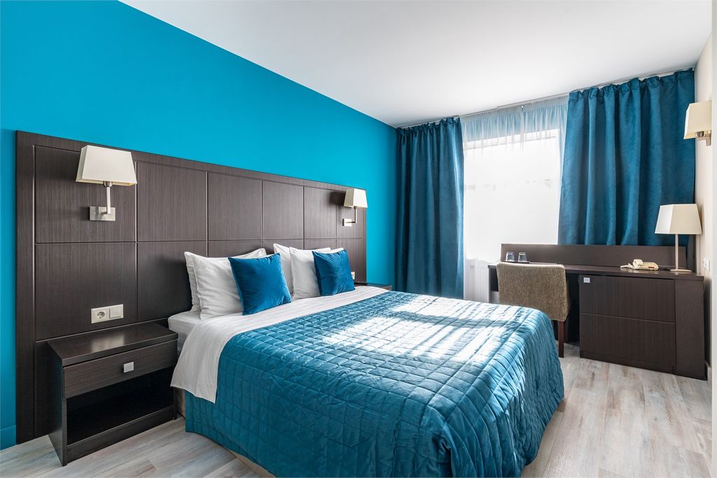 Балтия — Двухместный номер с 1 кроватью или 2 раздельными стандарт классический new