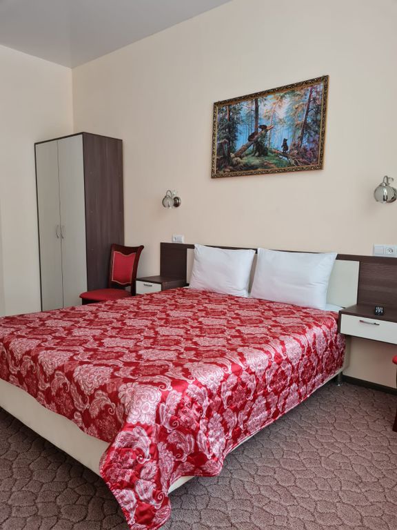 Репин — Двухместный номер с 1 кроватью стандарт