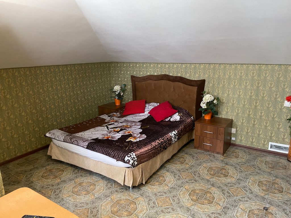 На Сергиевской — Двухместный номер с 1 кроватью стандартный номер с двуспальной кроватью