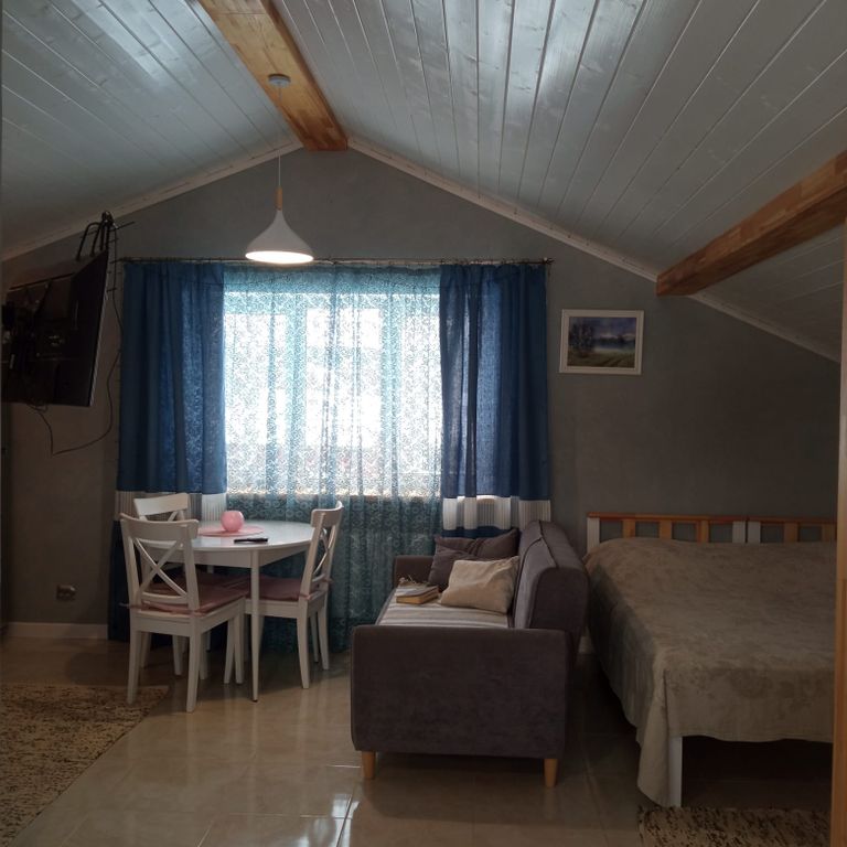 Конный двор Лощинино — Апартаменты студия пентхаус