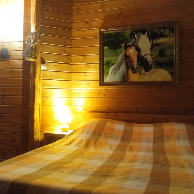 Конный двор Лощинино — Двухместный номер с 1 кроватью Двухместный номер с большой кроватью и диваном