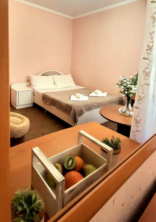 Бонум — Двухместный номер с 1 кроватью стандарт