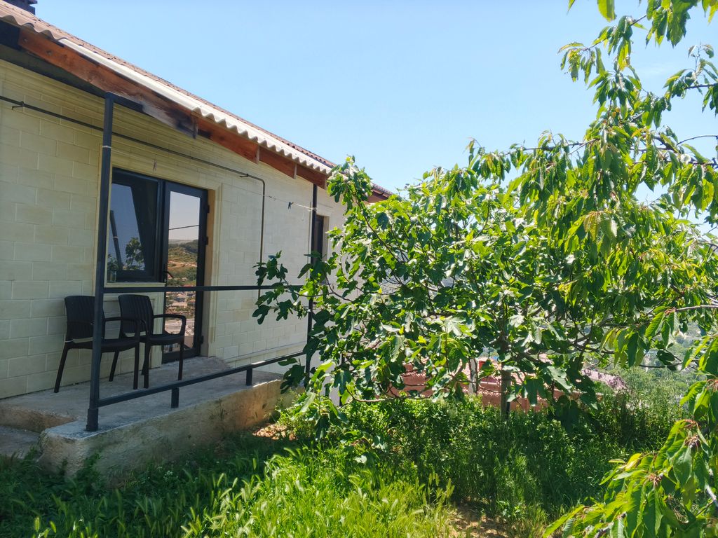 Деметринский — Двухместный номер с 1 кроватью стандарт с видом на горы