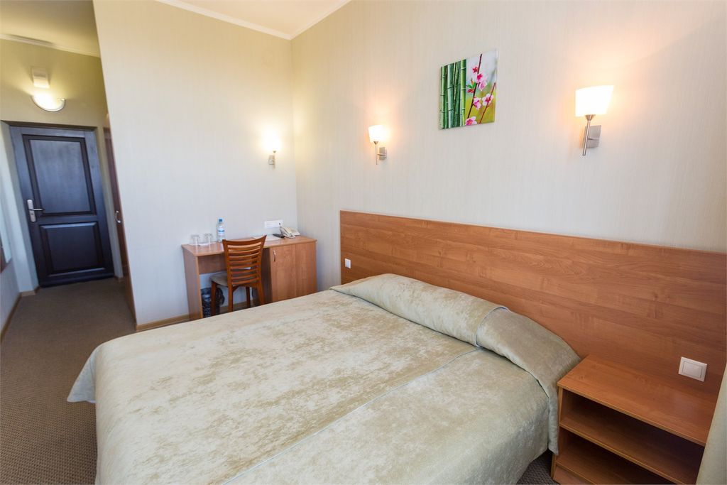 Аврора — Двухместный номер с 1 кроватью стандарт DBL