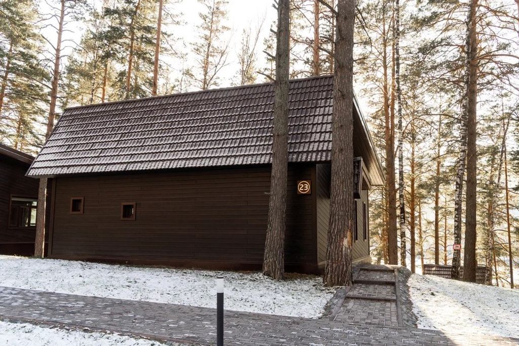 Шишка Алтай — Дом № 23 с сауной