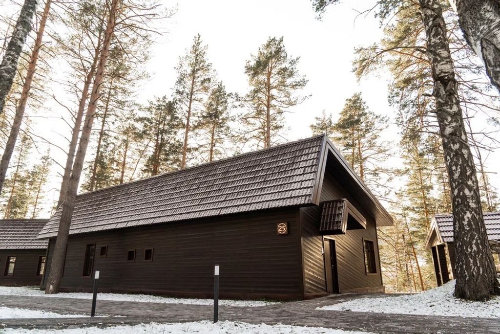 Шишка Алтай — Дом № 25 с сауной