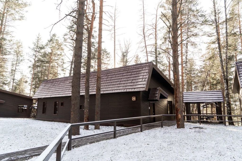 Шишка Алтай — Дом № 26 с сауной