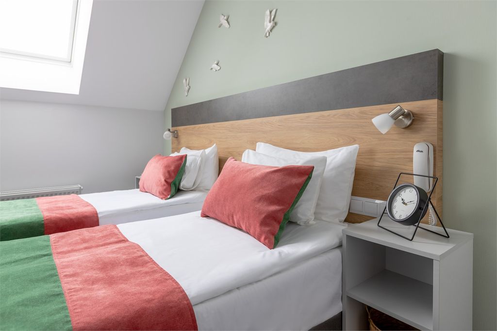 Станция Премьер S12 — Двухместный номер с 1 кроватью или 2 раздельными с мансардным окном