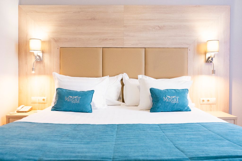 Моцарт — Двухместный номер с 1 кроватью Стандарт-Double