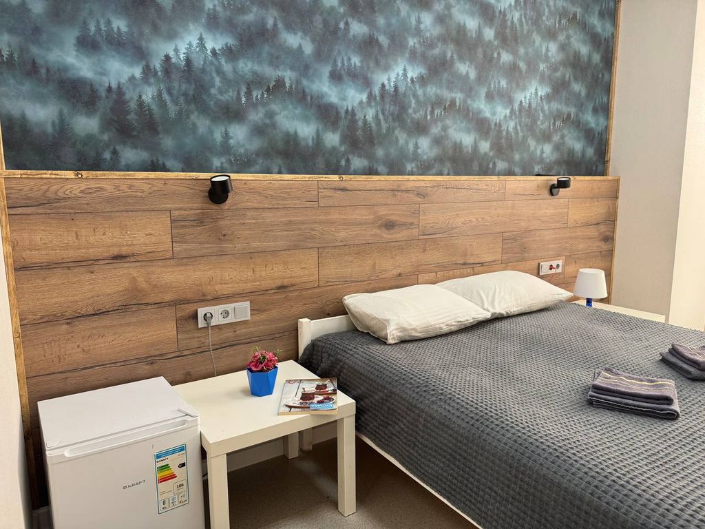 Гагарин — Двухместный номер с 1 кроватью люкс