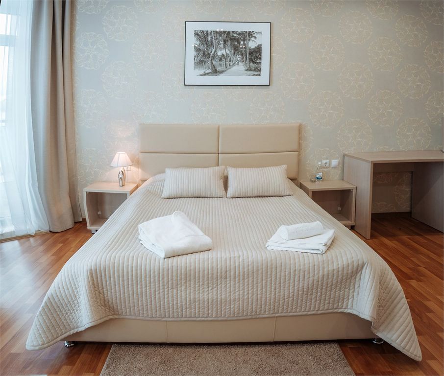 Premier — Двухместный номер с 1 кроватью стандарт