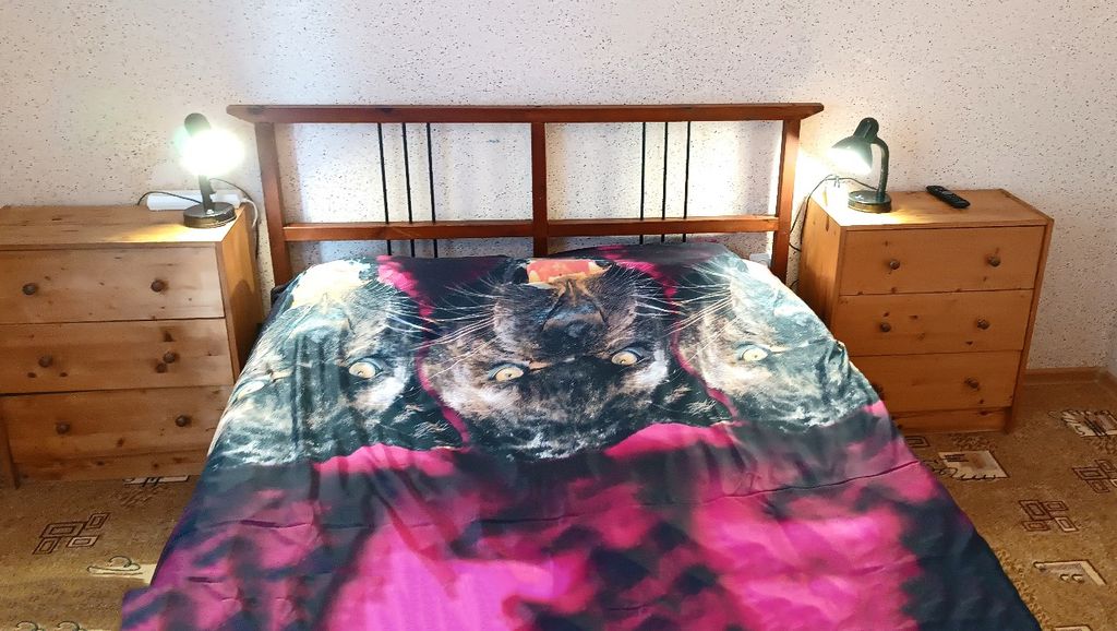 Фрише Нерунг — Двухместный номер с 1 кроватью Стандарт с двухспальной кроватью (Т.17)