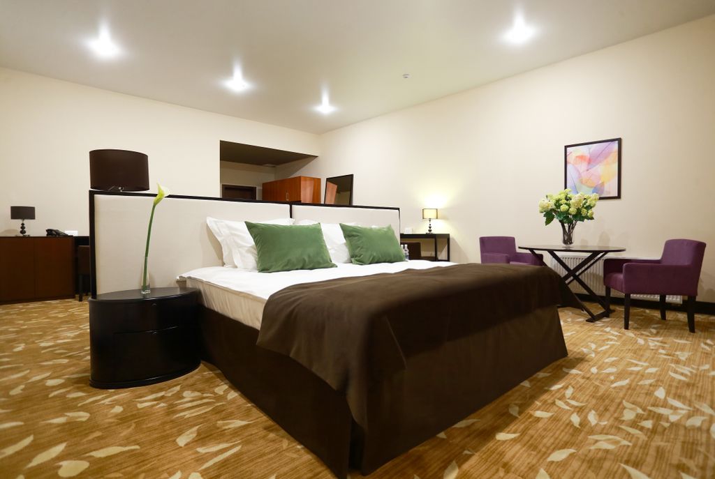 Garden hotel & SPA — Двухместный номер с 1 кроватью президентский люкс с террасой и кроватью размера king`s size