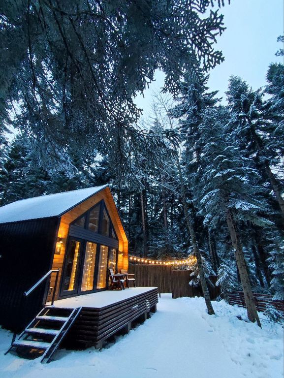 "БАРН и ЛЕС" — Дом БАРН 4