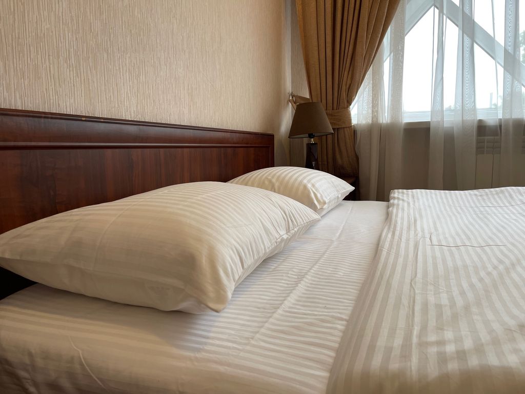 Евразия — Двухместный номер с 1 кроватью люкс