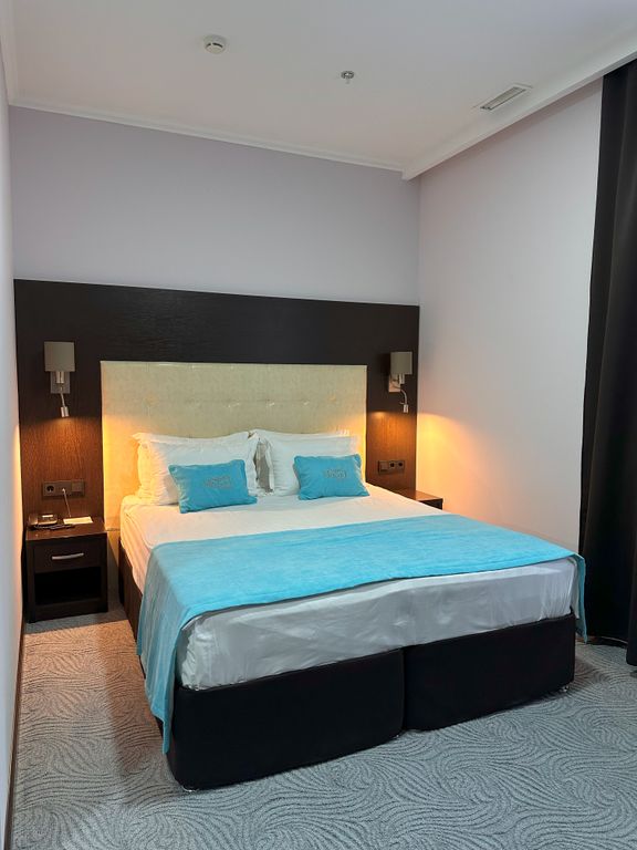 Моцарт — Двухместный номер с 1 кроватью или 2 односпальными кроватями стандарт