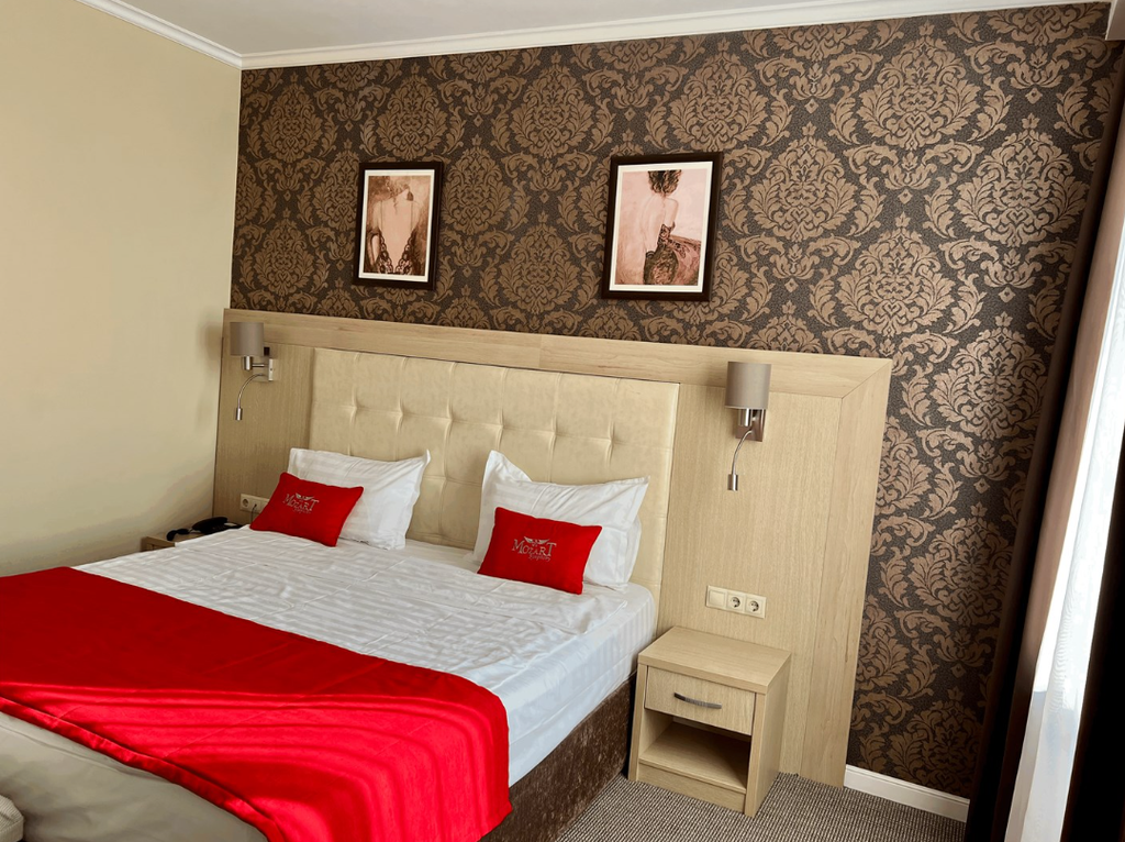 Моцарт — Двухместный номер с 1 кроватью Стандарт-Премиум