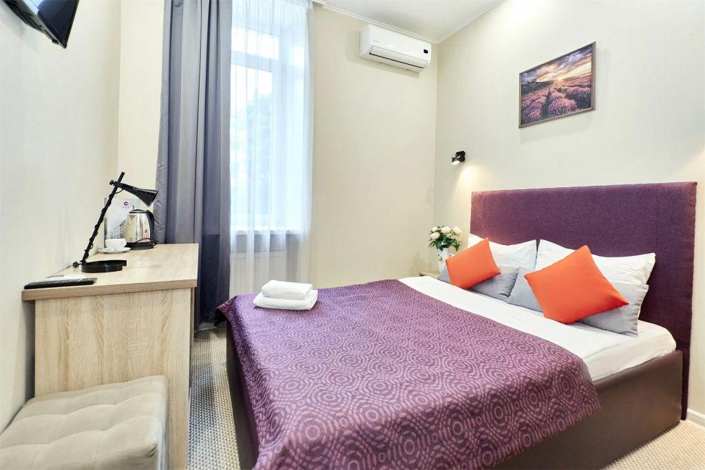 Питер на Добролюбова — Двухместный номер с 1 кроватью Небольшой уютный