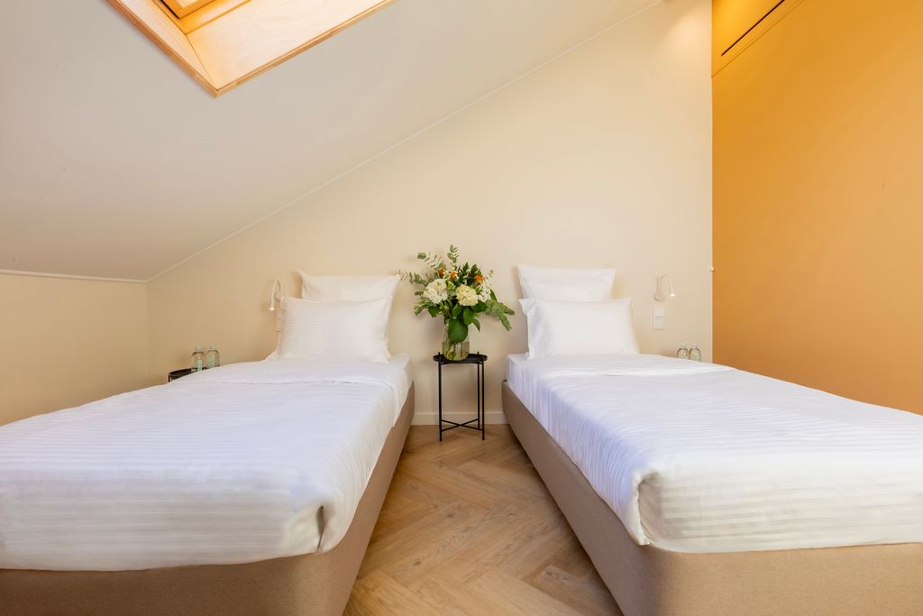 Бутик-отель "Казначейский" — Двухместный номер с 2 отдельными кроватями делюкс