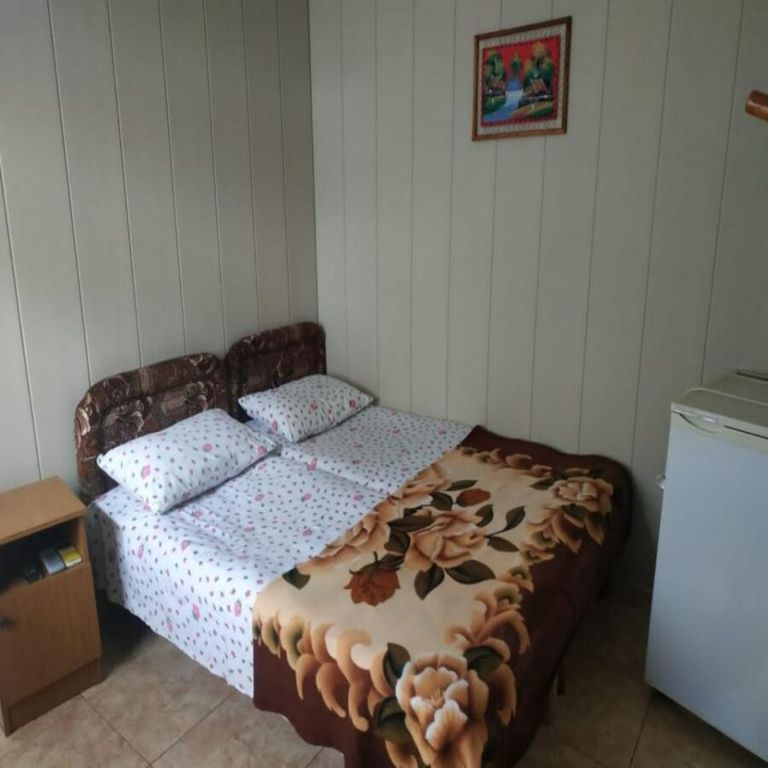 Аларти — Двухместный номер с 1 кроватью стандарт