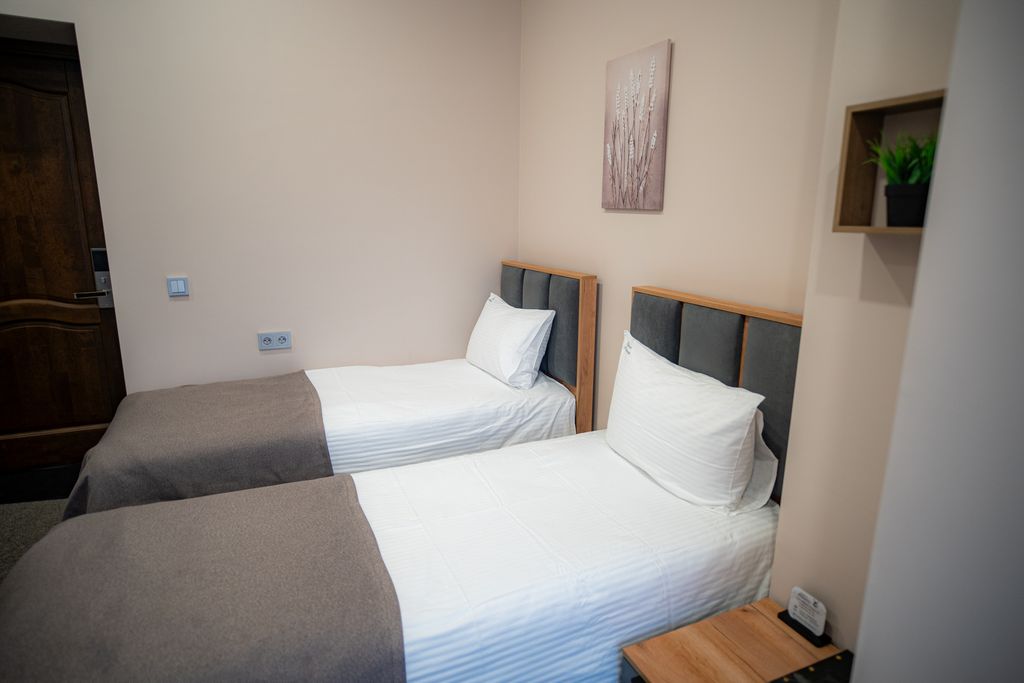 Мельница — Двухместный номер с 2 отдельными кроватями эконом с видом на горы