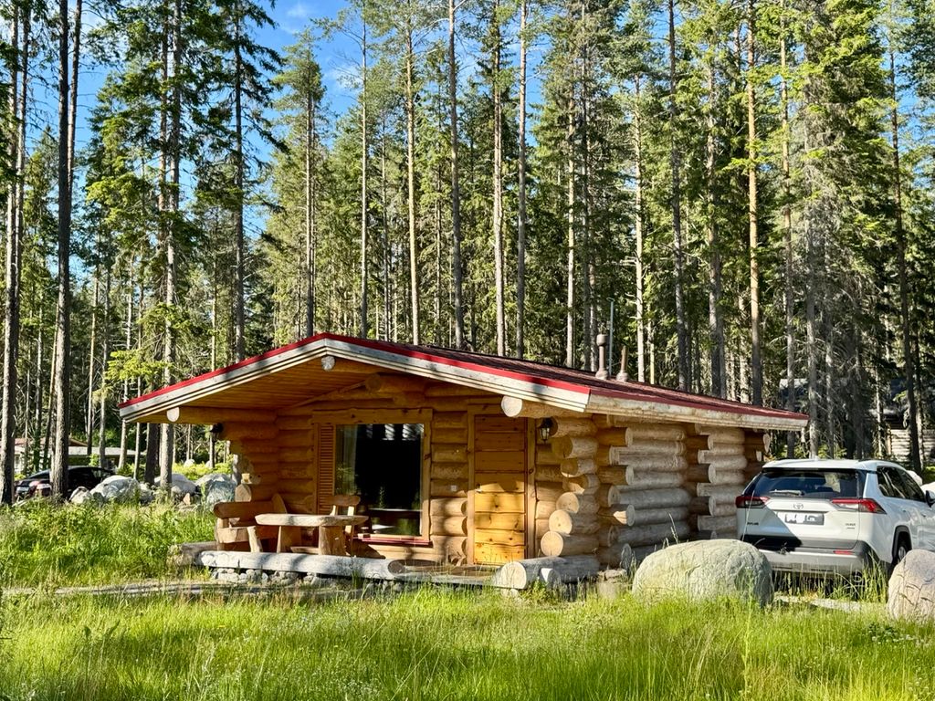 Медвежка в Карелии — Дом совенок