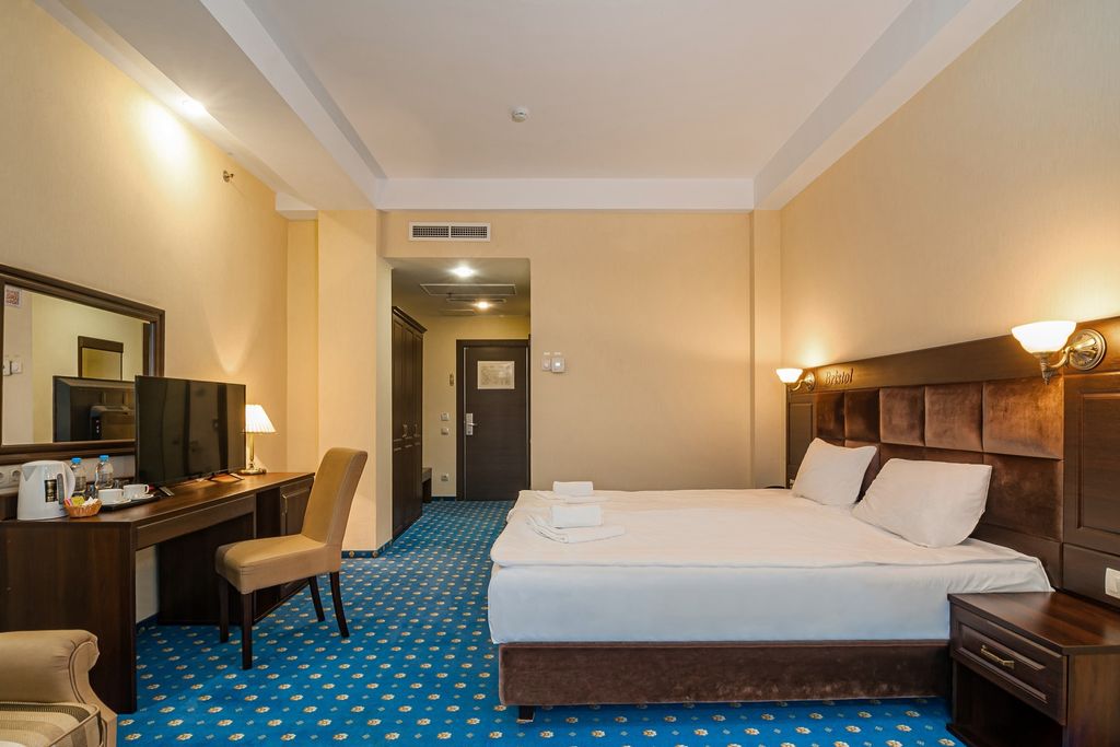 Бристоль — Двухместный номер с 1 кроватью Делюкс без балкона