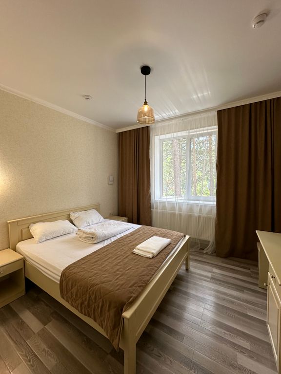 Ёлка — Двухместный номер с 1 кроватью стандарт