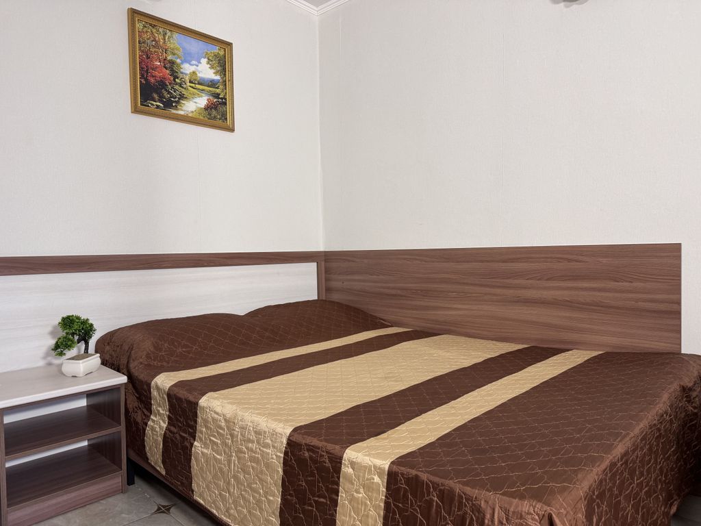 Лиана — Двухместный номер с 1 кроватью стандарт