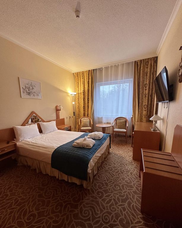 Протон — Двухместный номер с 1 кроватью люкс