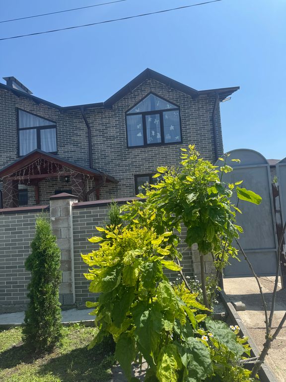 На Светлой — Двухместный номер с 2 отдельными кроватями эконом