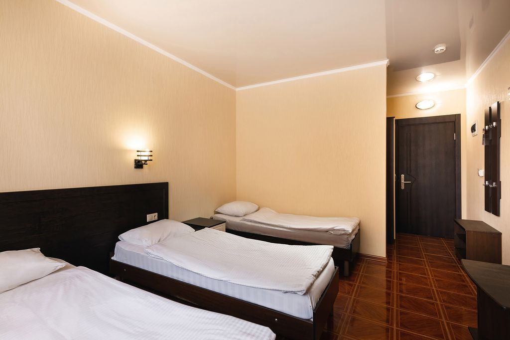 Гала-Пальмира — Трёхместный номер  стандарт плюс