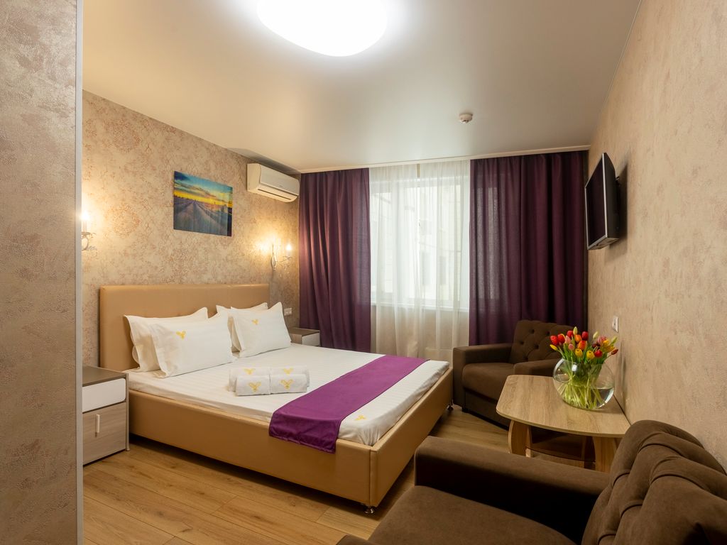 Сова на Алма-Атинской — Двухместный номер с 1 кроватью люкс