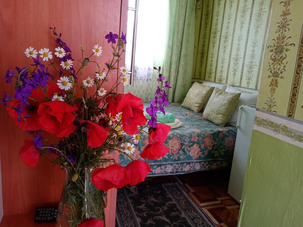 Сказочный дворик — Двухместный номер с 1 кроватью Зеленый лес