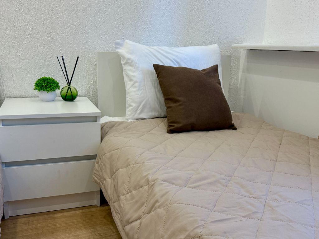 Грин Грэйп Syncotel Home — Апартаменты улучшенная студия с новым ремонтом с двумя раздельными кроватями