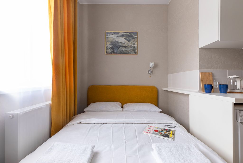 Дубровский — Двухместный номер с 1 кроватью стандарт