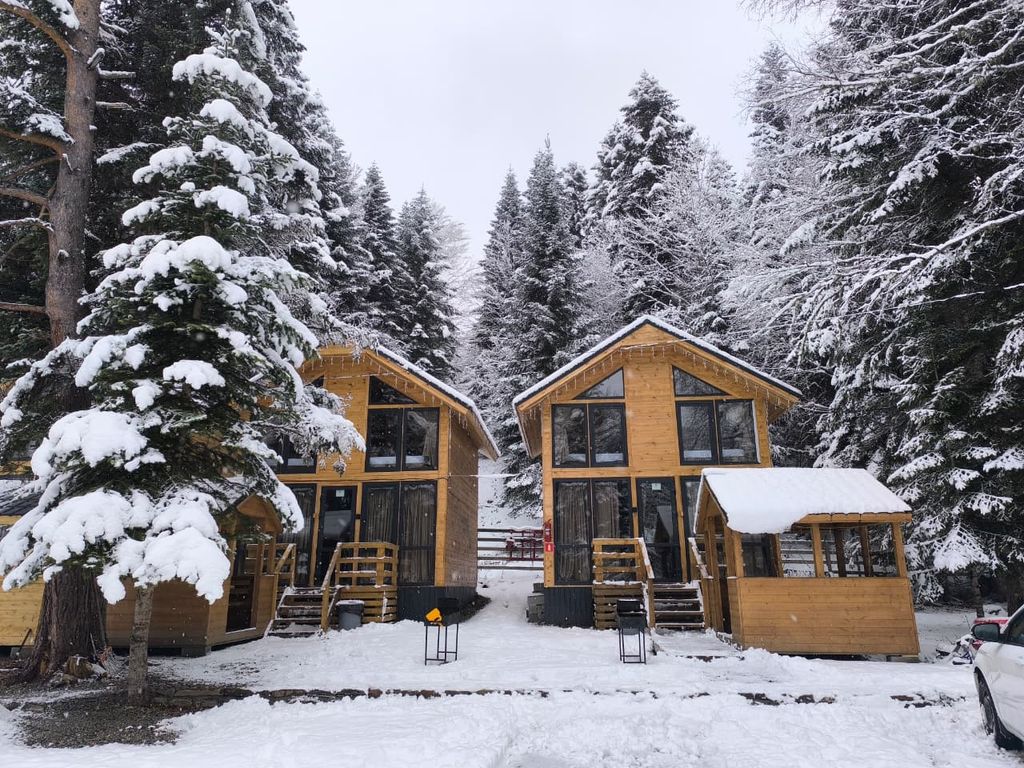 Теремок1599 — Семейный номер стандарт с видом на лес