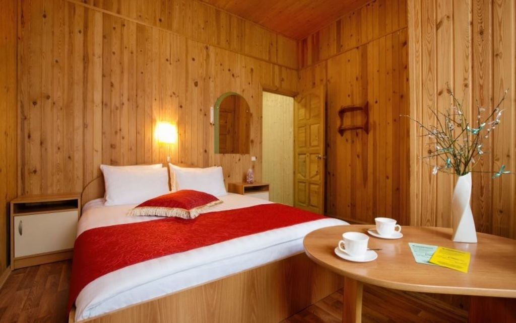 Лукоморье — Двухместный номер с 1 кроватью Однокомнатный Эконом+ с сауной