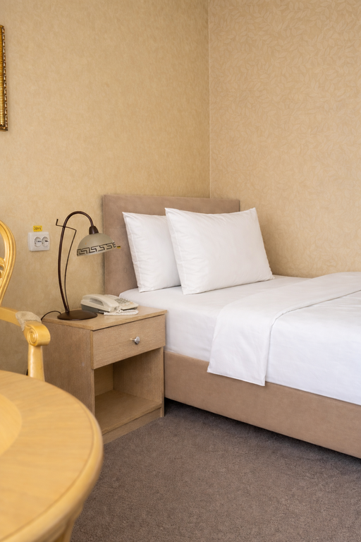 Эрмитаж — Одноместный номер стандарт