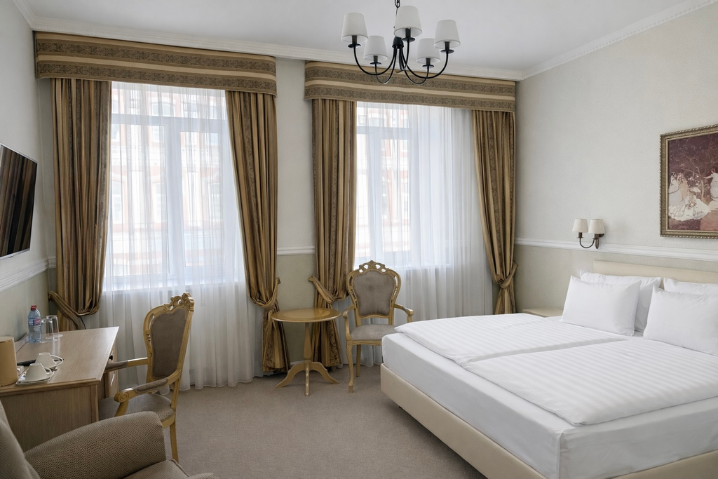 Эрмитаж — Двухместный номер с 1 кроватью Бизнес