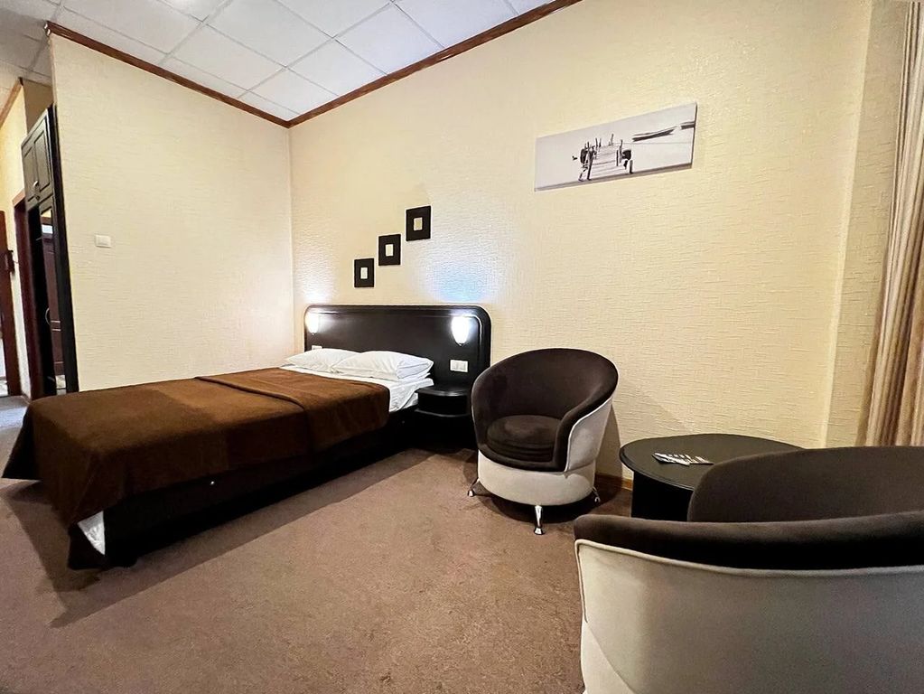 Forum Plaza — Двухместный номер с 1 кроватью эконом