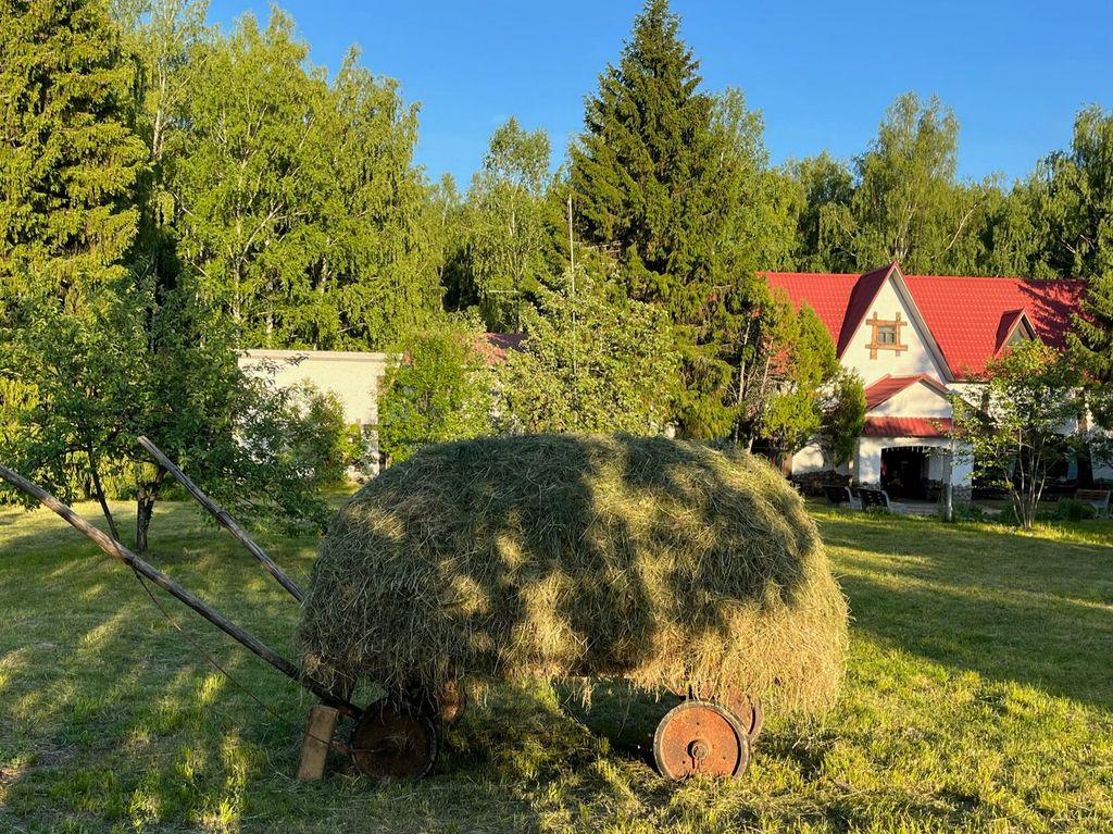 Подсолнухи — Дом улучшенный № 18а, 18б