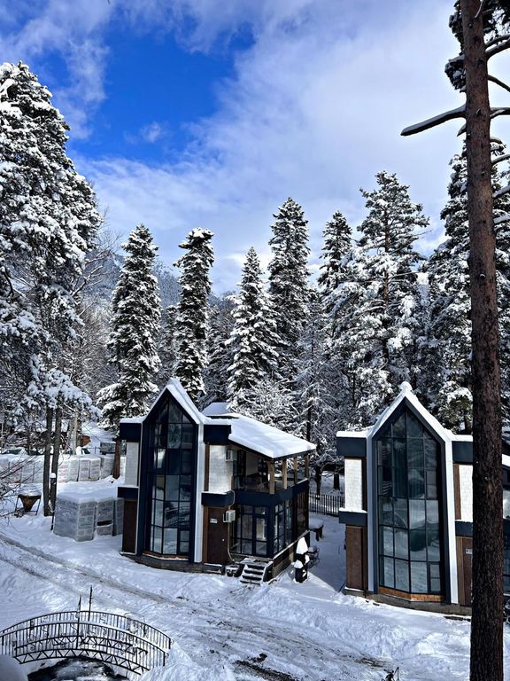 Green Park Arkhyz Spa & Усадьба — Дом Вилла София