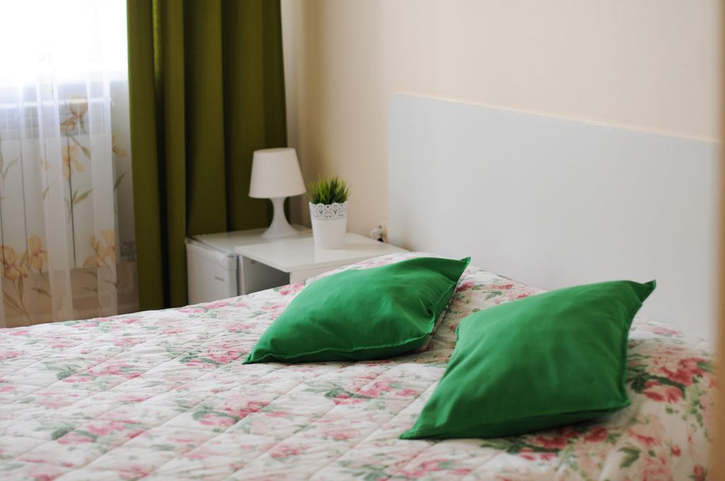 Подсолнухи — Двухместный номер с 1 кроватью стандарт