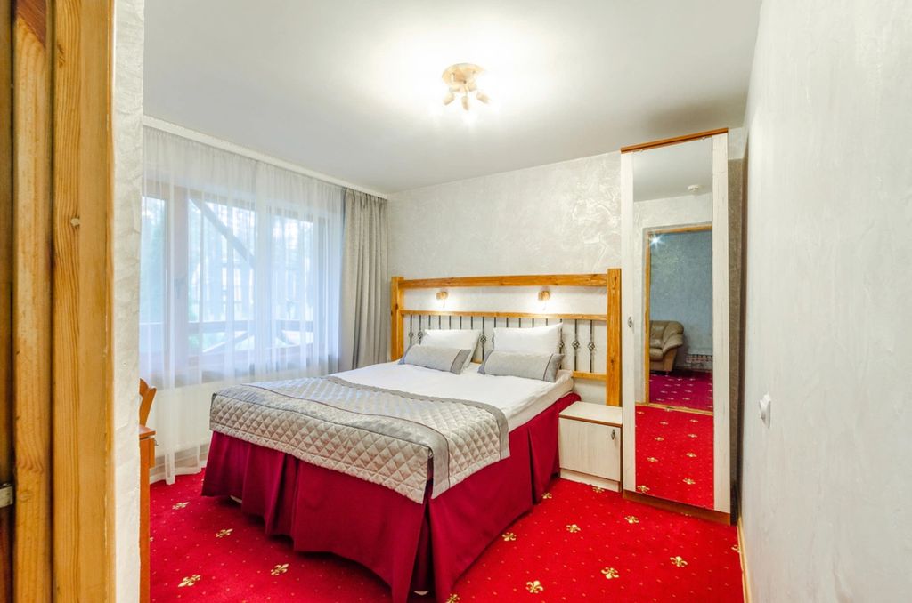 Плесков — Двухместный номер с 1 кроватью комфорт